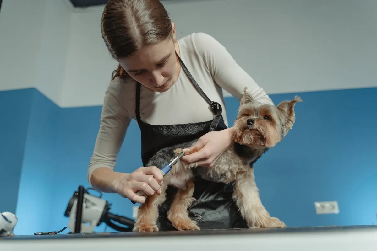 How to Clip Your Dog's Nails Safely, Even If They're Anxious